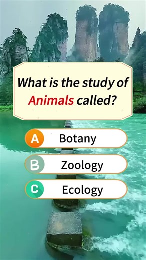 Can you score 3/3? 🔥 (No cheaters!) 100% on 3 questions? Prove it! ✅ #quiz #learn #washington