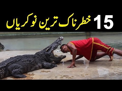 15 Toughest Jobs in The World | Now You Know It