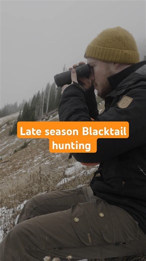Hunting Blacktail Deer in December