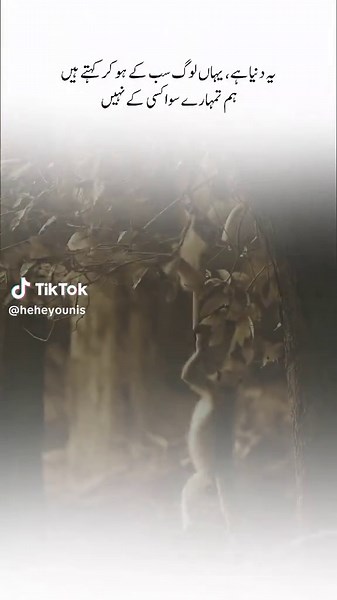 Exploring the Depths of Urdu Poetry for Love