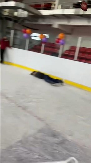 You WILL Scream at the Last Fail 😱 #12 is Brutal!