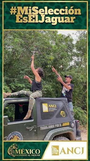 Guardianes de la Selva: El trabajo real de la Alianza Nacional 🐆