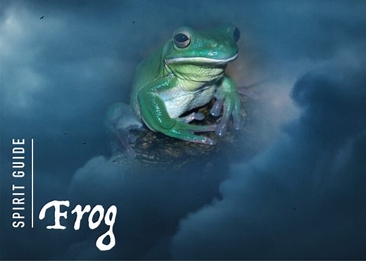 The Frog Spirit Animal - A Complete Guide to Meaning and Symbolism.
