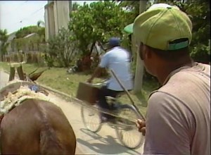 53K views · 892 reactions | Today's Flashback Video is another feature from the Belize All Over Series from 1987. Jackie Gray took a ride on Ramsey's Mule and talked with the iconic Belizean about his life and ministry. | Open Your Eyes | Facebook