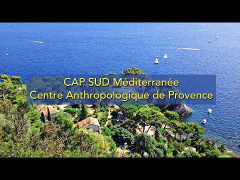 Histoire des idées politiques 1