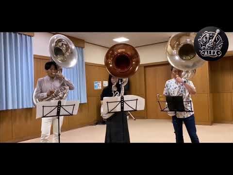 Polka de Trompeta con Trio de Tubas 🔥