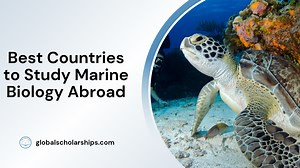 7 Best Countries to Study Marine Biology Abroad