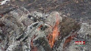 When and how to properly burn slash piles