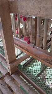 #tips | Jetro Turtoga