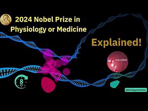 Explained! 2024 Nobel Prize in Physiology or Medicine. What is microRNA mediated gene regulation?