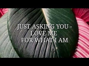LOBO - (LYRICS) LOVE ME FOR WHAT I AM