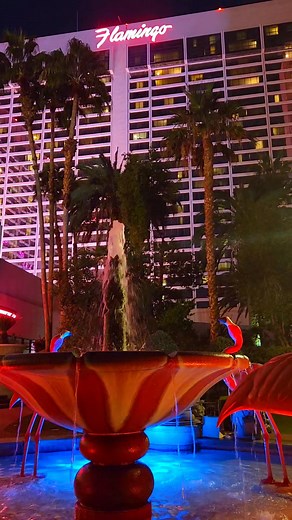 18K views · 471 reactions | Flamingo Las Vegas 囹 | Sin City Las Vegas | Facebook