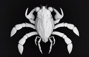 Newly-Discovered Ancient Crab Species Is Like Nothing Science Has Seen Before - BGR