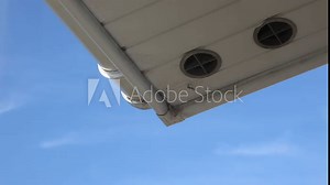 Wasps making a nest in the gutter and roof fascia, flying in and out