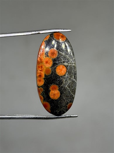 Hand Polished Peanut Obsidian Cabochon – Volcanic Gemstone for Jewelry - Etsy