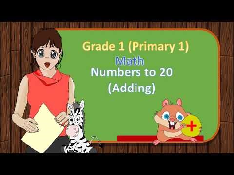 Grade 1 (Primary 1) Adding - Numbers to 20