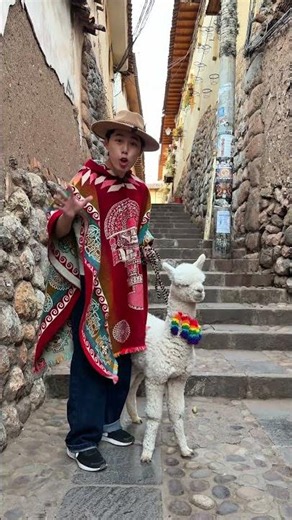 MONEY OR ALPACA? 💵🦙
