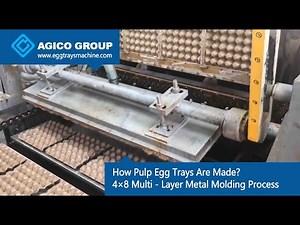How Pulp Egg Trays Are Made? 4×8 Multi - Layer Metal Molding Process