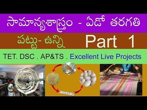 The life cycle of silkworm ( Telugu Medium ) Science class 7