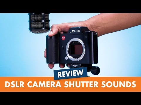 Who has the best shutter sound! *Camera ASMR*