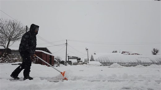 Tips for staying safe while shoveling snow: ❄️Wear several layers of warm, lightweight clothing when shoveling ❄️Take smaller scoops of snow instead of lifting too much at once ❄️Keep salt or sand on hand for icy steps & walkways ❄️Choose boots or shoes with good traction ❄️Stay hydrated & take breaks ❄️Remember to follow medical advice if you have a history of back or heart problems. More winter safety information: toronto.ca/services-payments/weather-winter-together/ | Toronto Public Health
