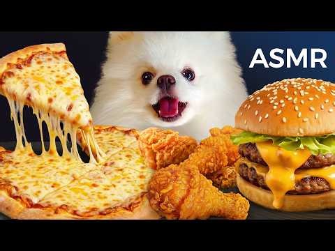 ASMR Mukbang | Yue the Pomeranian Eating Pizza, Fried Chicken & Cheese Burger
