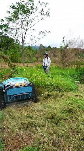Professional Grade Lawn Mower For Continuous Commercial Use