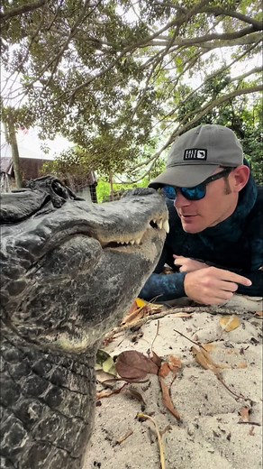 Do Crocodiles Have Tongues? Understanding Crocodile Tongue Movement