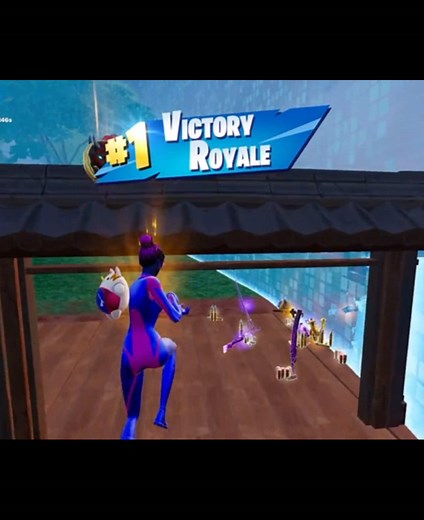 Fortnite Gameplay: Unbelievable Win and Funny Moments