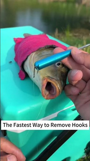 Unhooking Fish Made Easy with the Quick Release Tool