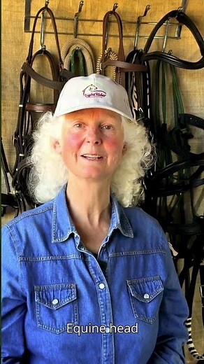 How to choose a Bitless Bridle #horseriding #bitlessbridle #bitlessriding #bitless