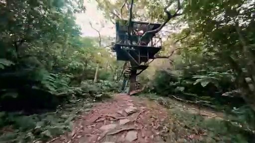 Treeful Treehouse - Japan im Baumhaus erleben