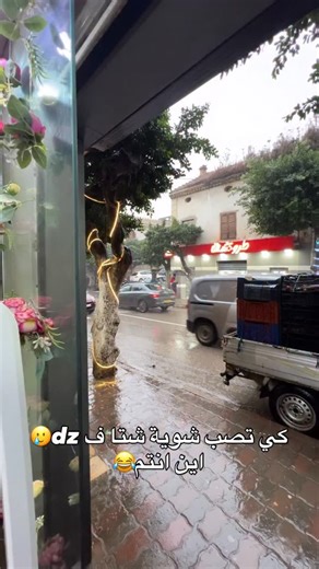 only she on Instagram‎: "مرحبا بيكم عند اونلي شي❤️ ‎المحل الأول تاعنا راهو متواجد فالجزائر العاصمة درارية وين جامع الفتح و البلدية لقديمة المحل الثاني فالشراڤة مقابل المارشي و فارماسي ‎📍🗞️والا اكتبي boutique only she فال maps جيبك عندنا ❤️ Nefthou 7/7 de 10h00 jusqu’à 21h00 ( sauf le vendredi de 16h00 jusqu’à 22h00) ‎ #femmealgerienne #alg #algerienne #algerie #dz rienne fashion algeria femmedz rie alger oran dzteam femme tlemcen mariagealgerien beaut batna rien beauty bnat dzair dzpower dzblo