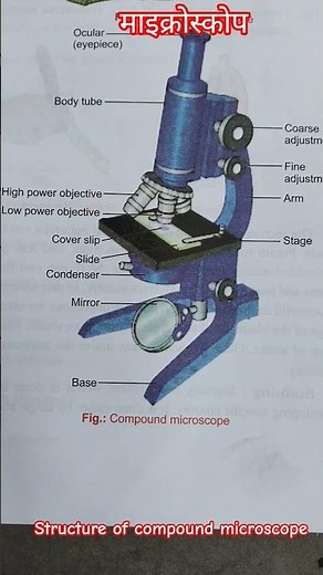 structure of compound microscope #teacher #education #school #board #motivation class 11