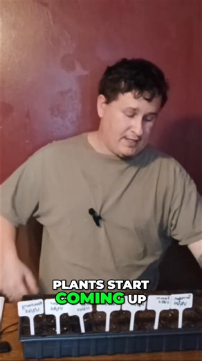 Learn the essentials of planting tarragon with this video summary. Discover the ideal conditions and techniques for a successful herb garden. #Tarragon #HerbGardening #GardeningTips #PlantingGuide | Carter's gardens