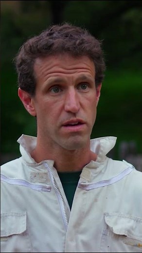 Why do bees sting? | #DrSeuss #Shorts