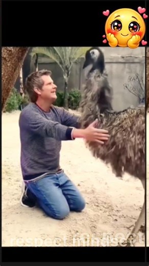 other act of #humanity #shorts #kindness #help #gorillatag #behuman