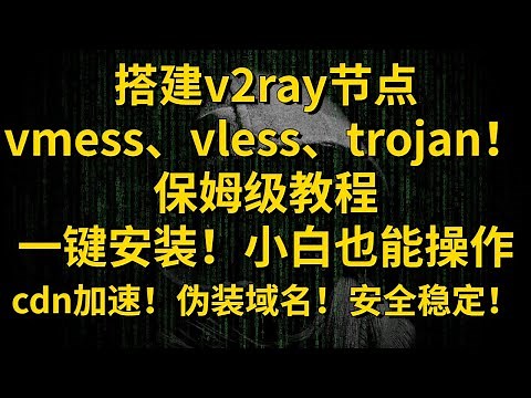 搭建v2ray节点，vmess、vless、trojan！保姆级教程，一键安装，小白也能操作，来感受下折腾vps的快感！套用cdn加速，一键设置伪装域名，安全稳定。