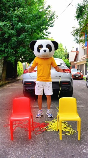 ¿A quien Salvas de la Silla Incorrecta? | NANDO