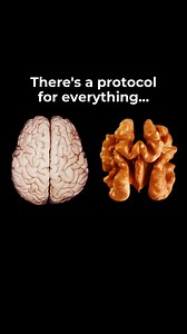 😱▶ Tap See More on our story to check out all protocols! . . . #holisticprotocols #herbalprotocols #naturalhealing #hairloss #rosemary #fenugreek #homeremedies | The Lost Book of Herbal Remedies