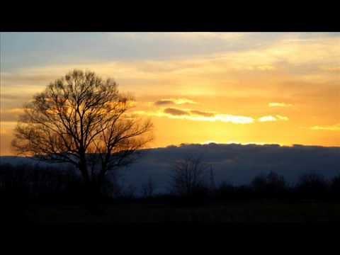 David Whyte: Self Portrait