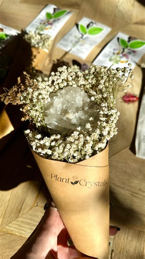 Kellyn Kennerly on Instagram: "Comment “crystal” and I’ll send you the link to the prettiest store online! 💫 Because your plants deserve a little energy too. I know a few of mine could use some good vibes. 😂 These are handmade, magical, and perfect for anyone who treats their plants like art. 🌿"