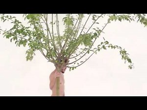 POS INDÍGENA - ARTE BI-HEMSIFÉRICO