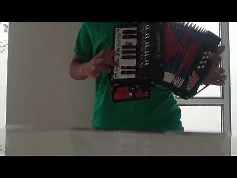 cumple años feliz , mini acordeon 17 teclas