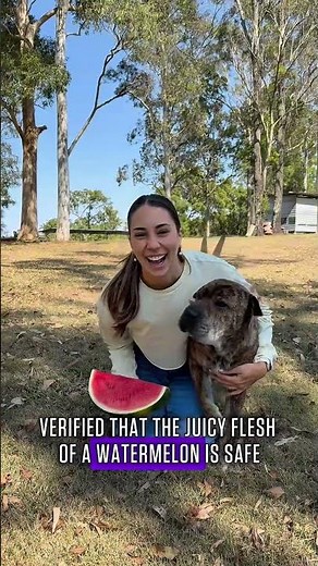 🍉 Can dogs eat watermelon?
