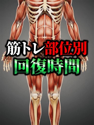 筋肉痛で判断は危険 筋トレ部位別・回復時間 #筋トレ #筋肥大 #筋肉痛 #回復時間 #脚トレ #デッドリフト #筋トレ初心者