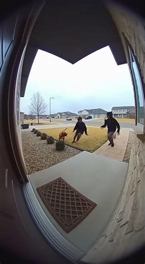 Caught Stealing the Bait Box! Funniest Porch Pirate Prank Ever