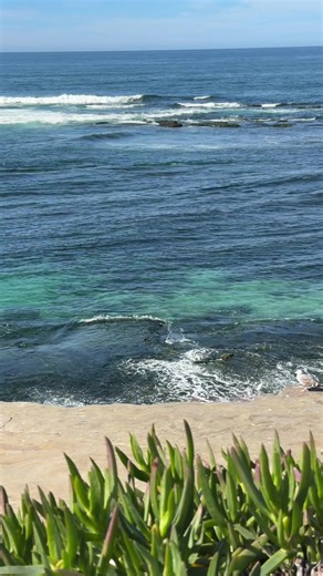 La Jolla, how you’ve held my heart for years, and continue to make me fall in love #lajolla #sandiego #southerncalifornia #cali #ocean