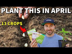 The 13 BEST CROPS You'd Be CRAZY Not To Plant In April NOW!