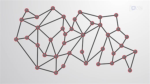 Video: Protein Networks